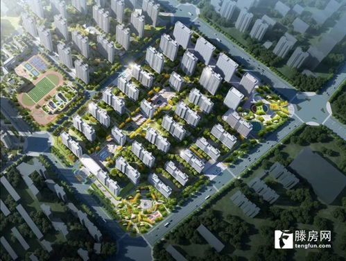 如何實(shí)現(xiàn)房地產(chǎn)高質(zhì)量發(fā)展 滕州城建集團(tuán)在梁場這個(gè)項(xiàng)目給出了答案