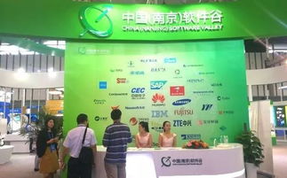 第十三屆中國南京國際軟件產品和信息服務交易博覽會盛大開幕，聚焦信息咨詢服務新趨勢